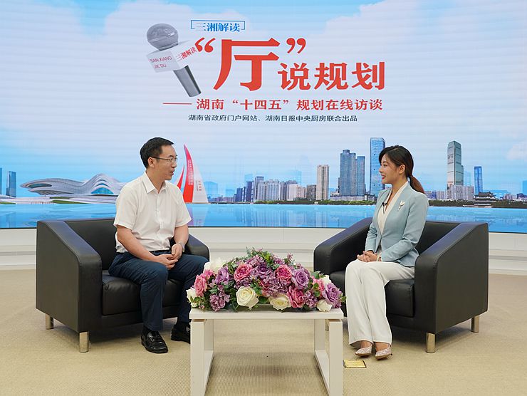 【“廳”說規劃】“十四五”湖南財政如何管好政府“錢袋子”？